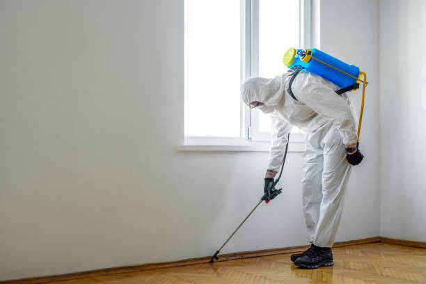 Best Bed Bug Extermination  in Port Ludlow, WA