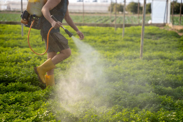 Best Mosquito Control Services  in Port Ludlow, WA