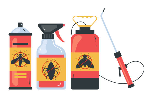 Best Local Pest Control Services  in Port Ludlow, WA
