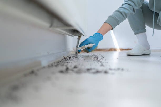 Best Pest Removal Services  in Port Ludlow, WA